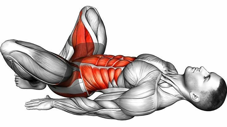 Ilustração dos músculos trabalhados nos exercícios